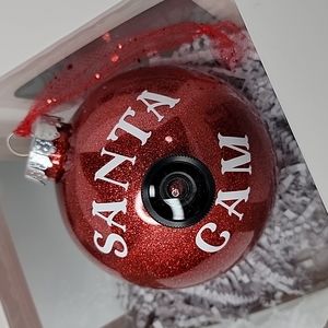 Red Santa Cam Ornament